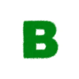 Burbon FM