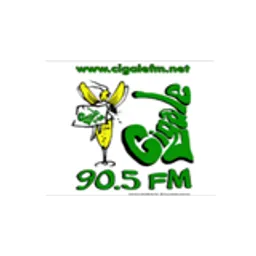 Cigale FM