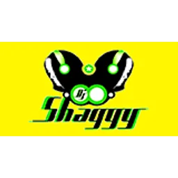 Dj Shaggy Venezuela