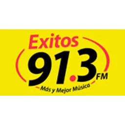 Exitos 91.3