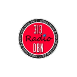 313 DBN Radio