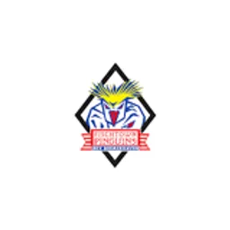 Fischtown Pinguins