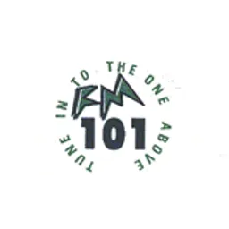 FM 101