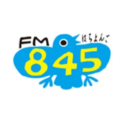 FM 845