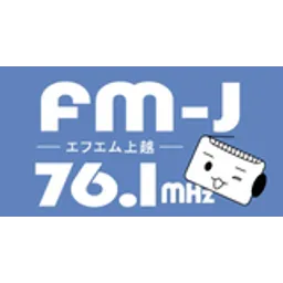 FM-J