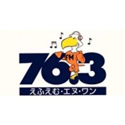 FM-N1
