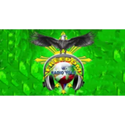 Freedom Online