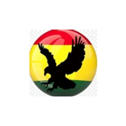 GTOP Radio (Ghana Top Radio)