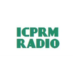 ICPRM Network Group Station
