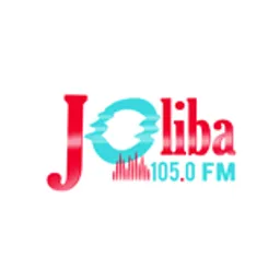 Joliba105.0 FM
