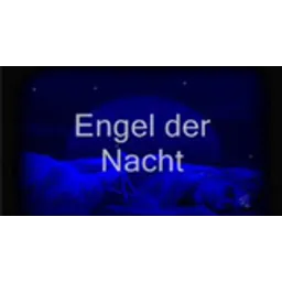 Engel der Nacht