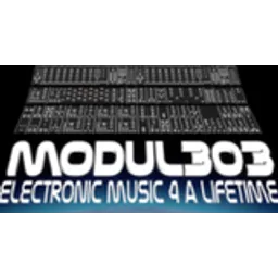 Modul303