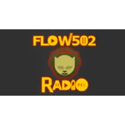 Flow 502 Radio