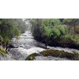 Ondas del río Guarapas