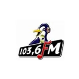 Pinguin Fm
