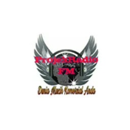 PROJEK RADIO FM