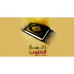 Rabee Al Qloub