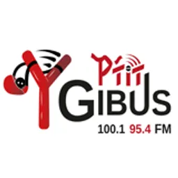 Radio Collège Pergaud