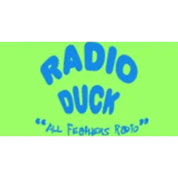 Radio Duck