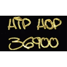 Hip Hop 36900