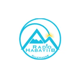 Radio Habayiib