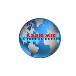 Radio MIE