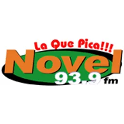 Radio Novel