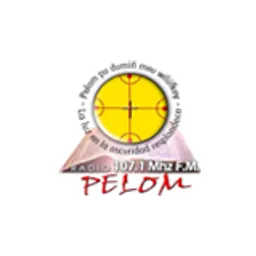 Radio Pelom