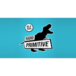 Radio Primitive
