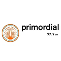 Radio Primordial