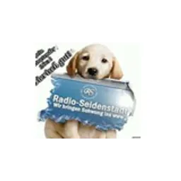 Radio Seidenstadt