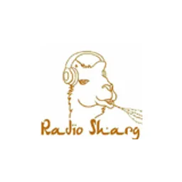 Radio Sharg