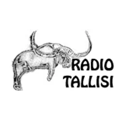 Radio Tassili - FM 88
