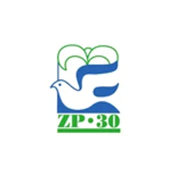 Radio ZP30