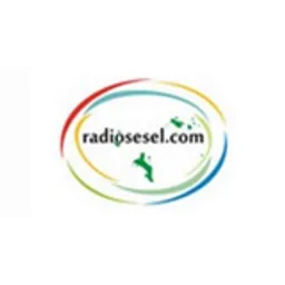 Radiosesel