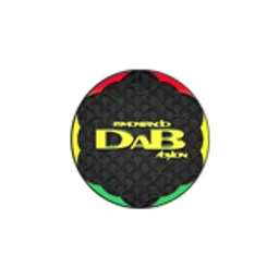 RR & DaB Fm