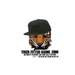Tiger Fitted Radio