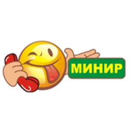 Голосовой чат "МИНИР"