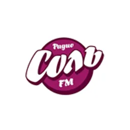 Соль FM