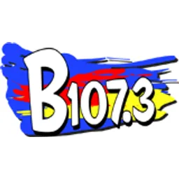 B-107.3