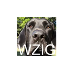 WZIG 104.1 FM