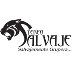 Stereo Salvaje
