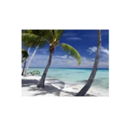 Oldies Paradise Internet Radio