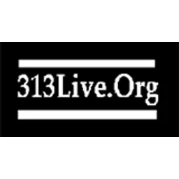 313 Live.Org