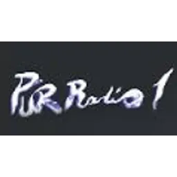 PurRadio1
