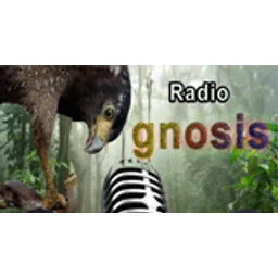 Radio Gnosis