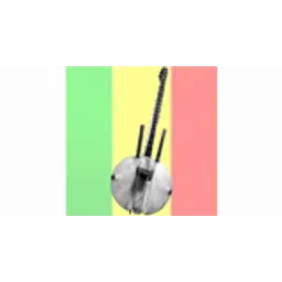 Radio Wassoulou Internationale