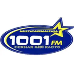 1001 FM