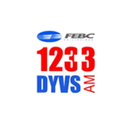 1233 DYVS