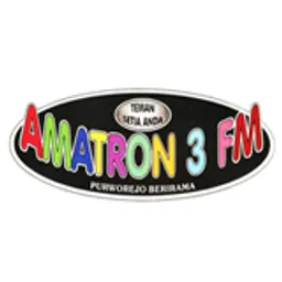 Amatron 3 FM